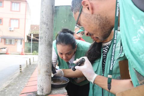 agentes olham vaso #paratodosverem 