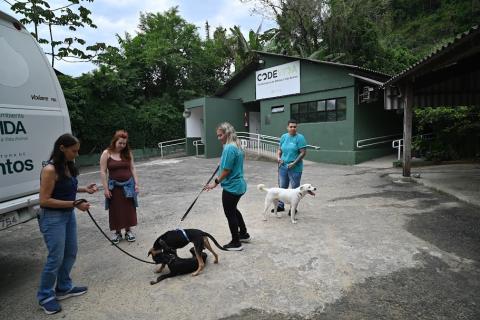 pessoas com cachorros na codevida #paratodosverem