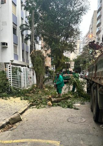 homem removem árvore caída em rua. #paratodosverem