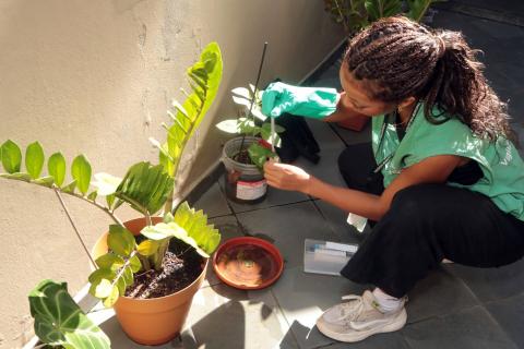 agente examina plantas e vasos em domicílio. #paratodosverem
