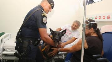 cão é usado para tratamento de paciente #paratodosverem