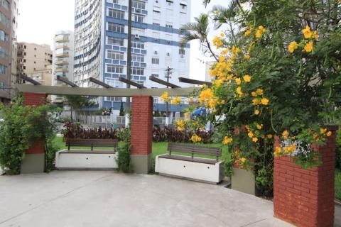 Estação das flores chega com previsão de mais chuvas e calor acima da média - foto: Carlos Nogueira/arquivo recanto com flores amarelas. #paratodosverem