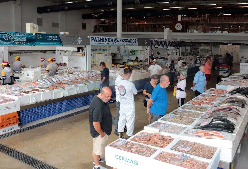 Com muitas opções para a ceia de Natal, Mercado de Peixes de Santos espera aumento nas vendas | Prefeitura de Santos Com muitas opções para a ceia de Natal, Mercado de Peixes de Santos espera aumento nas vendas | Prefeitura de Santos