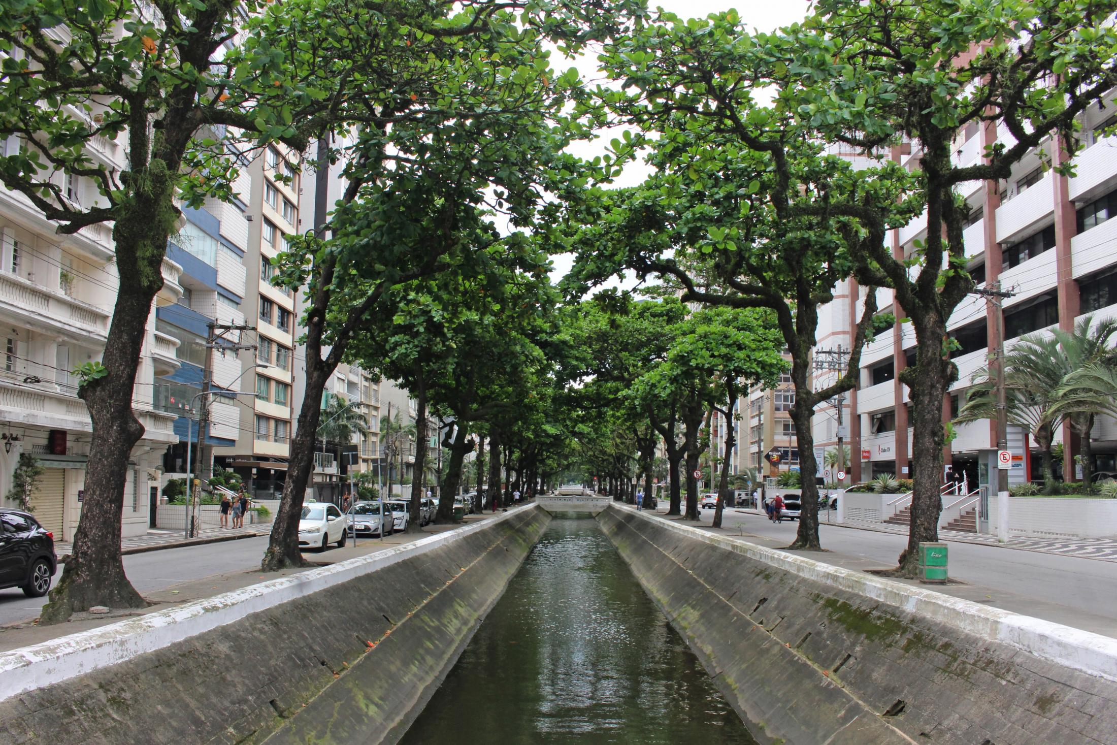 Plano de Arborização Santos Sustentável