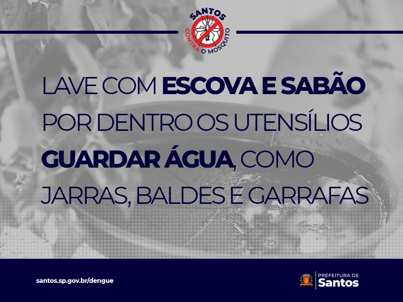 Lave por dentro com escova e sabão, os utensílios usados para guardar água em casa, como jarras, garrafas, potes, baldes.