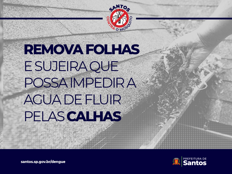 Remova folhas, galhos e tudo que possa impedir a água de correr pelas calhas.