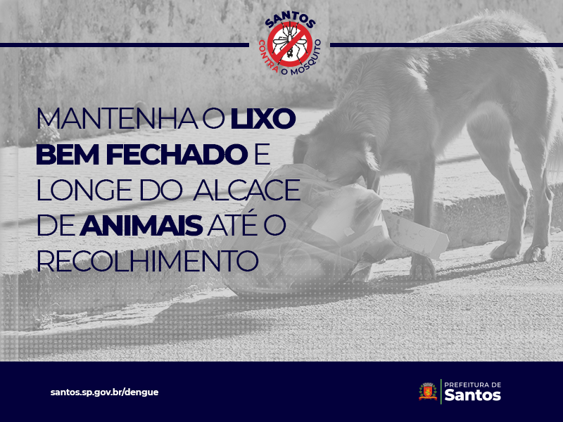 Mantenha os sacos de lixo bem fechados e fora do alcance de animais até o recolhimento pelo serviço de limpeza urbana. 