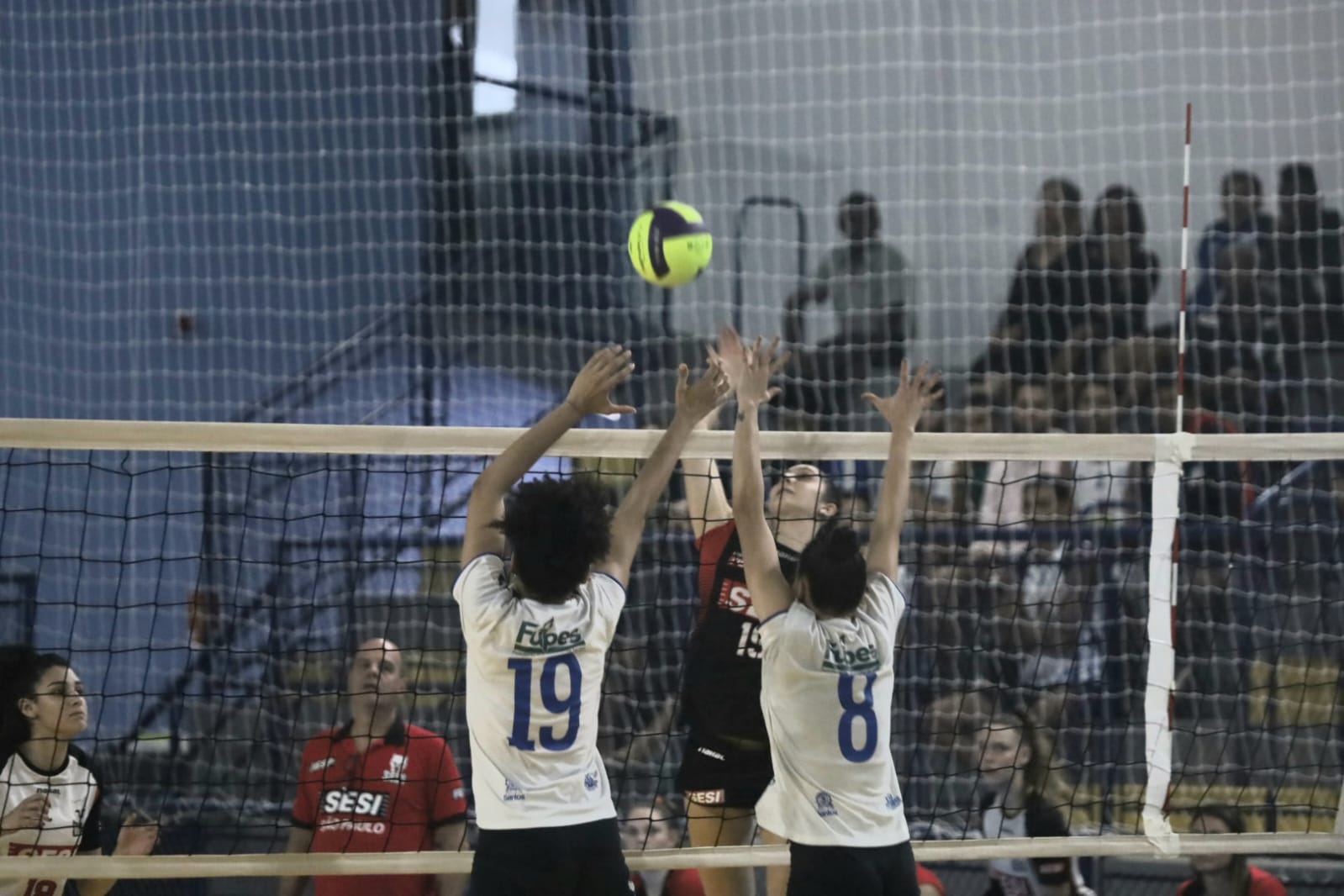 Diadema traz campeão olímpico para treinar time de vôlei feminino -  Prefeitura de Diadema