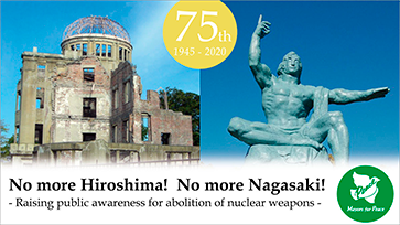 Banner do projeto Nova Entrada de Santos