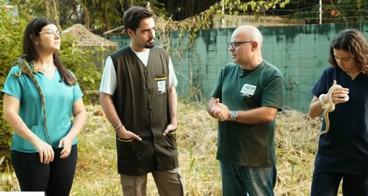 Em busca de reconexão com a natureza, Cidade cria rotatórias verdes