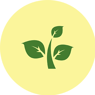 Desenho de uma planta com 3 folhas em um círculo amarelo
