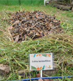 Imagem de terra com algumas folhas e algumas plantas crescendo