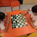 Santos oferece 30 vagas para aulas gratuitas de xadrez, Educação