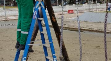 Mutirão de 470 pessoas percorre a praia de Santos e recolhe 268kg