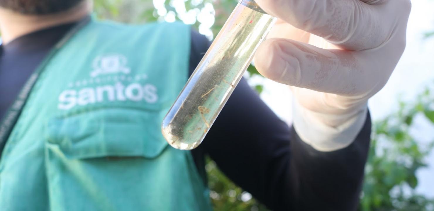 Santos inicia terceira avaliação de larvas do Aedes nesta semana