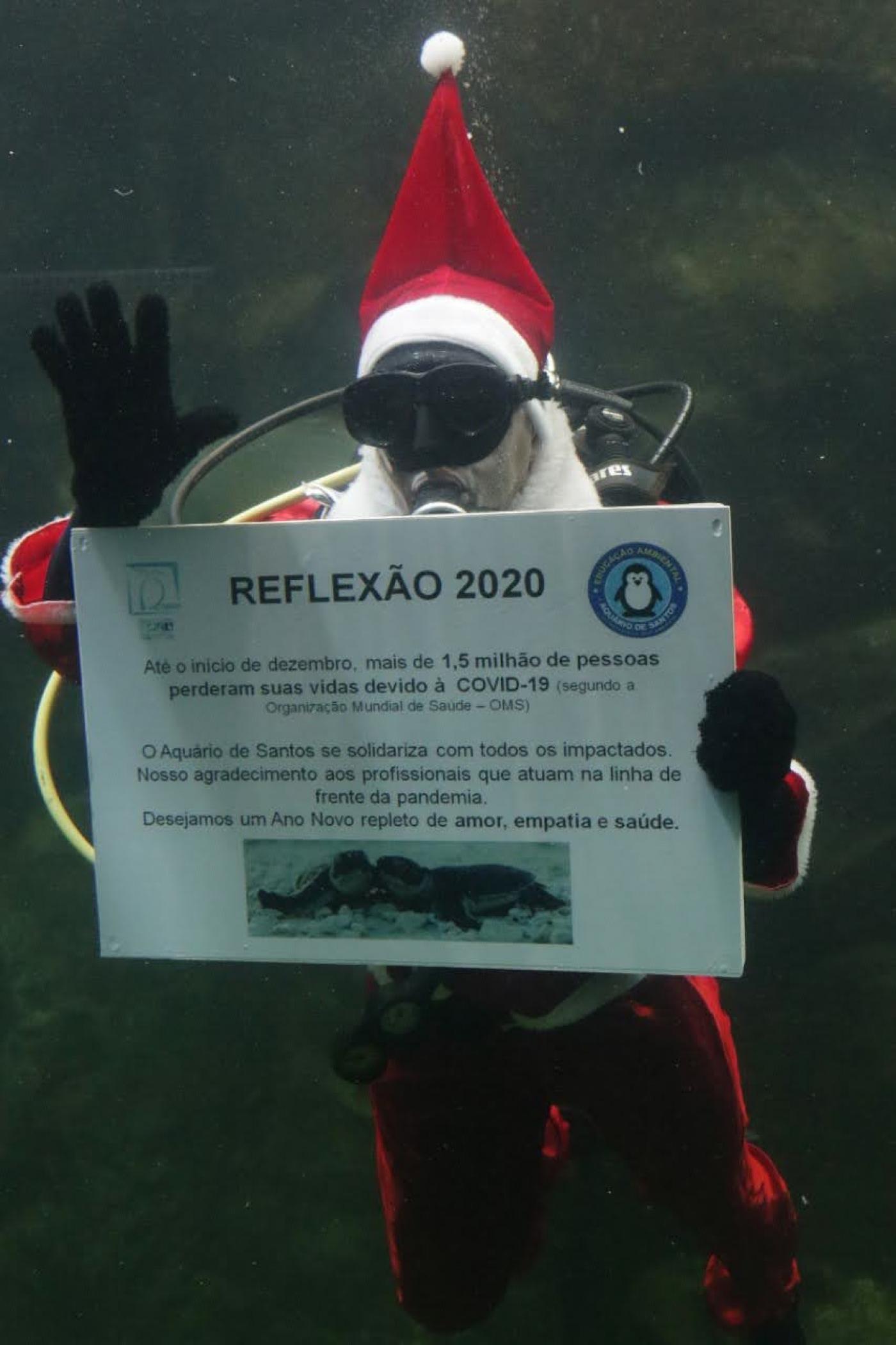 Papai Noel mergulha no Aquário de Santos com mensagens de conscientização |  Prefeitura de Santos